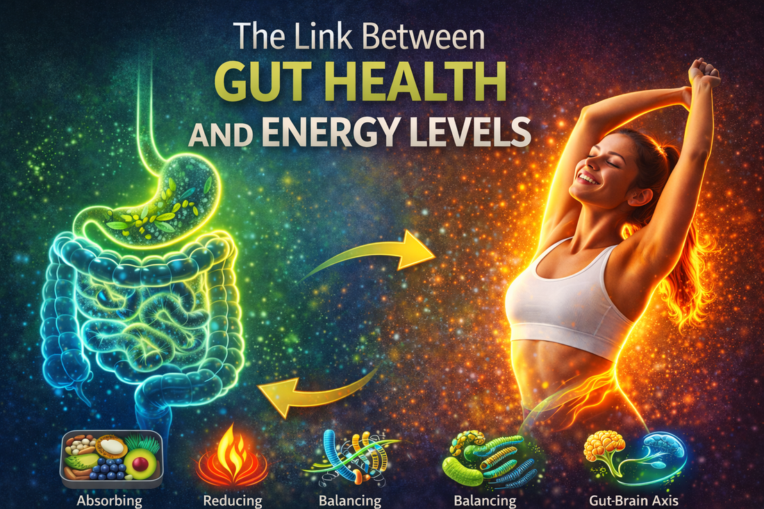 The Link Between Gut Health and Energy Levels