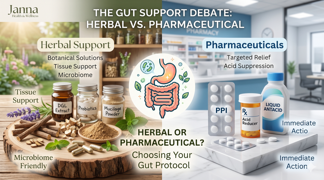 Herbal vs Pharmaceutical Gut Support: What Works Better for Your Digestive Health?