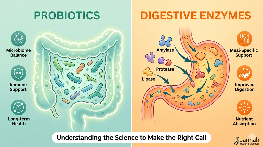 Probiotics vs Digestive Enzymes: What's the Difference?