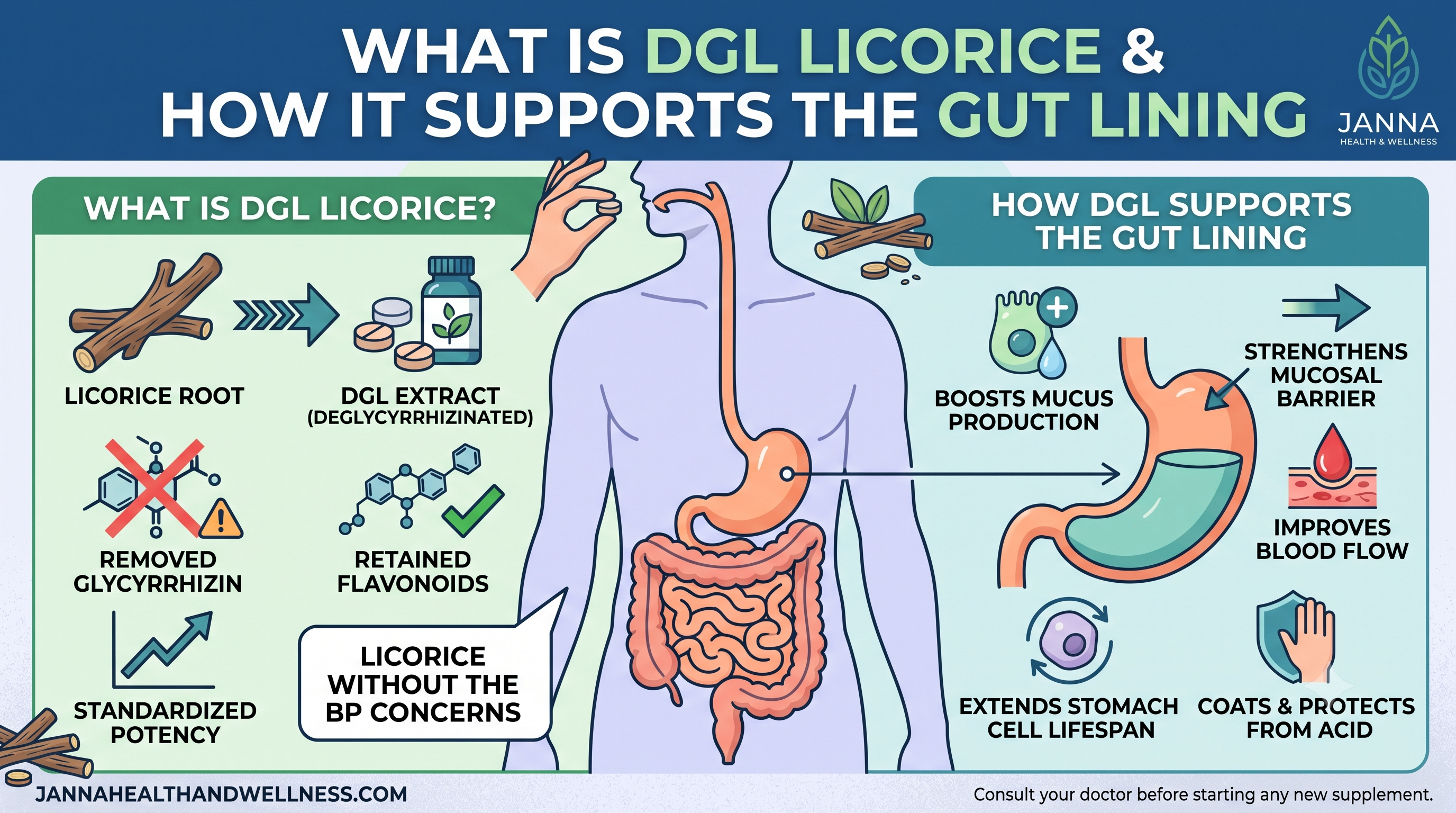 What Is DGL Licorice and How It Supports the Gut Lining