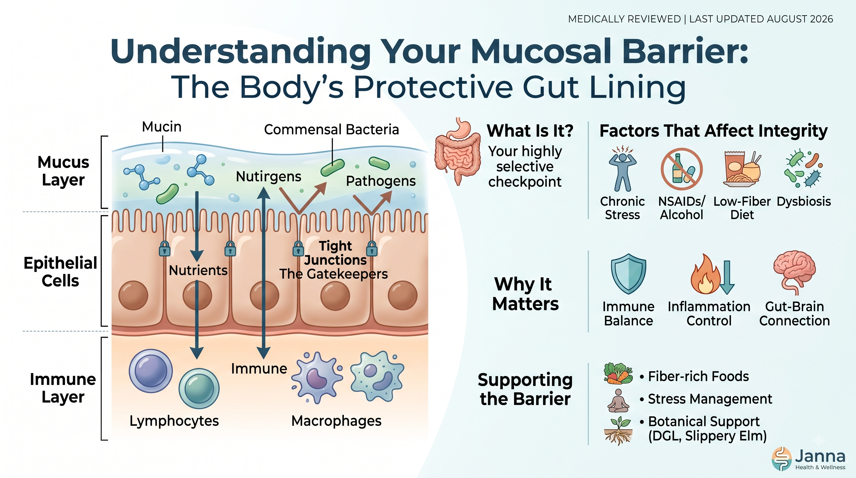 Mucosal Barrier 101: Why Gut Lining Integrity Matters