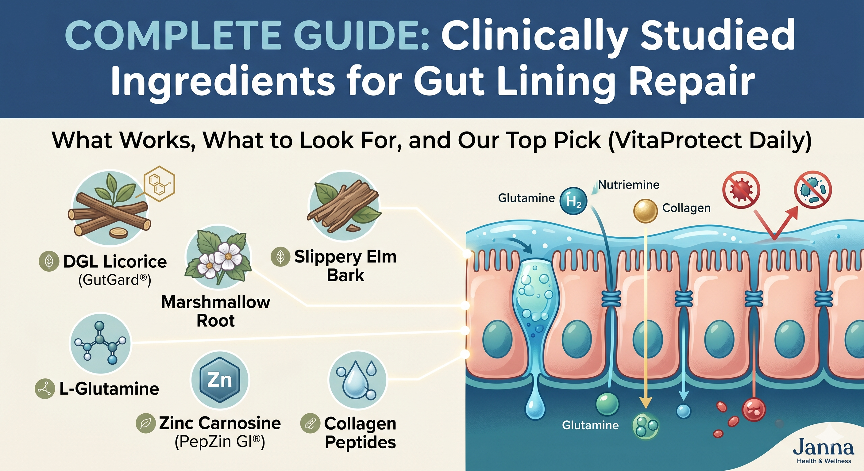 Best Supplements for Gut Lining Repair (2026 Guide)