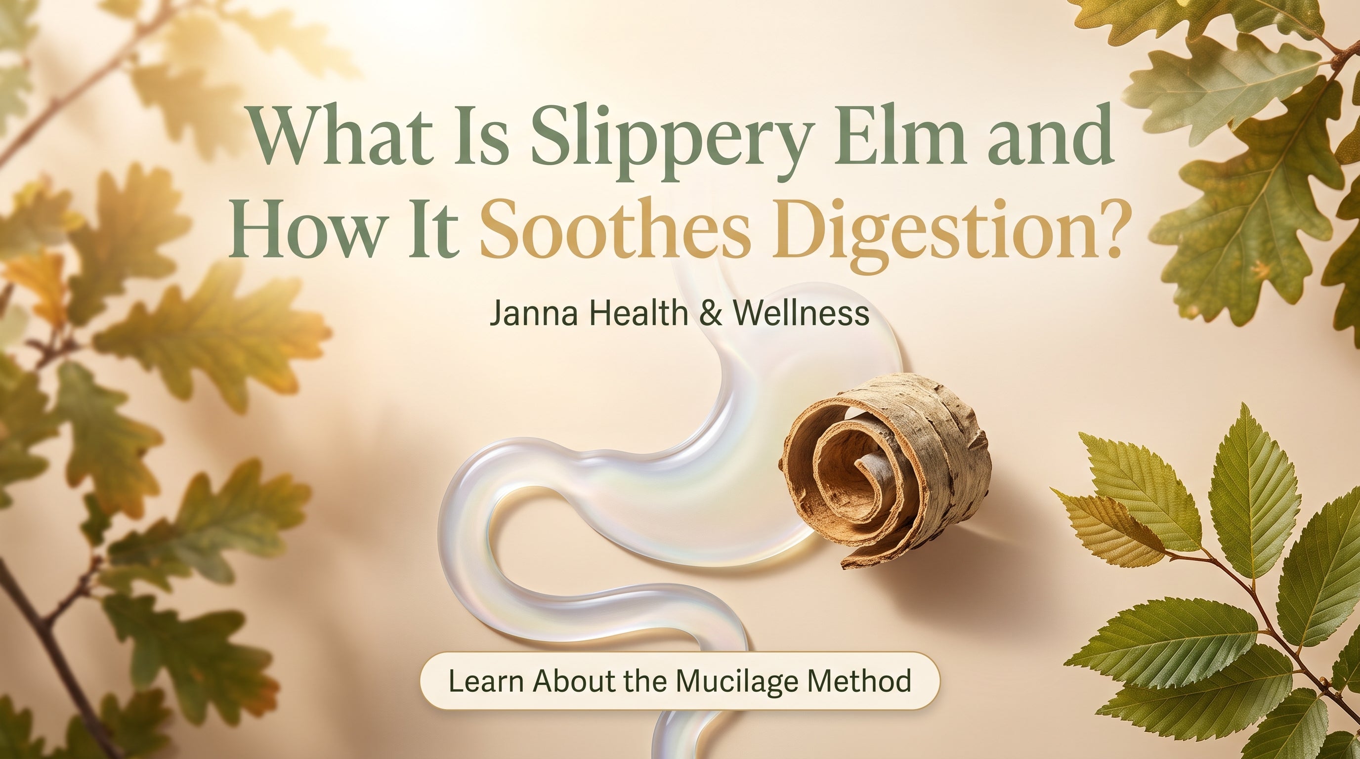 What Is Slippery Elm and How It Soothes Digestion?