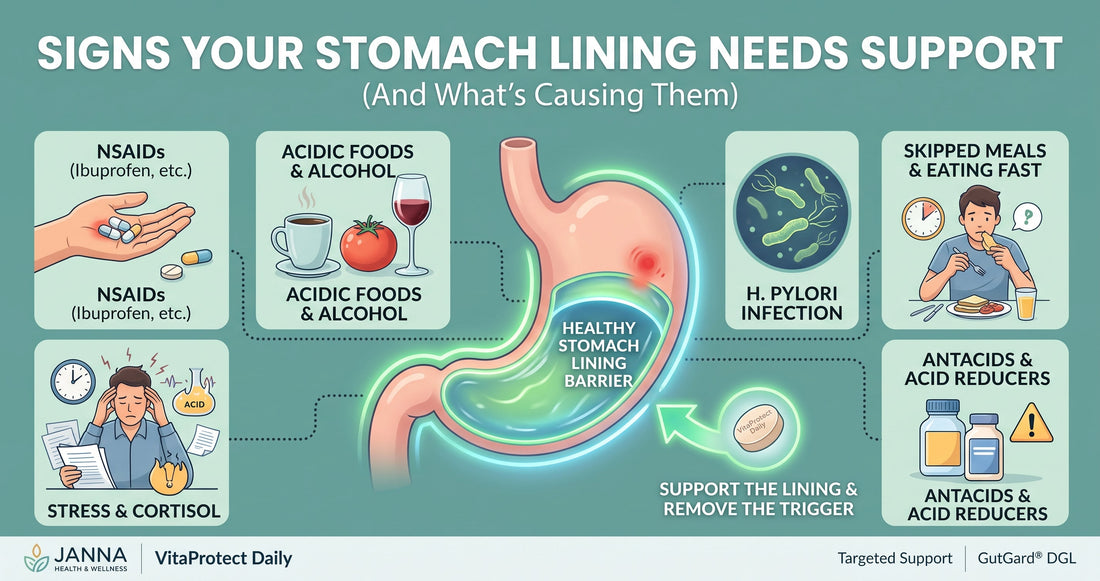Signs Your Stomach Lining Needs Support (And What's Causing Them)