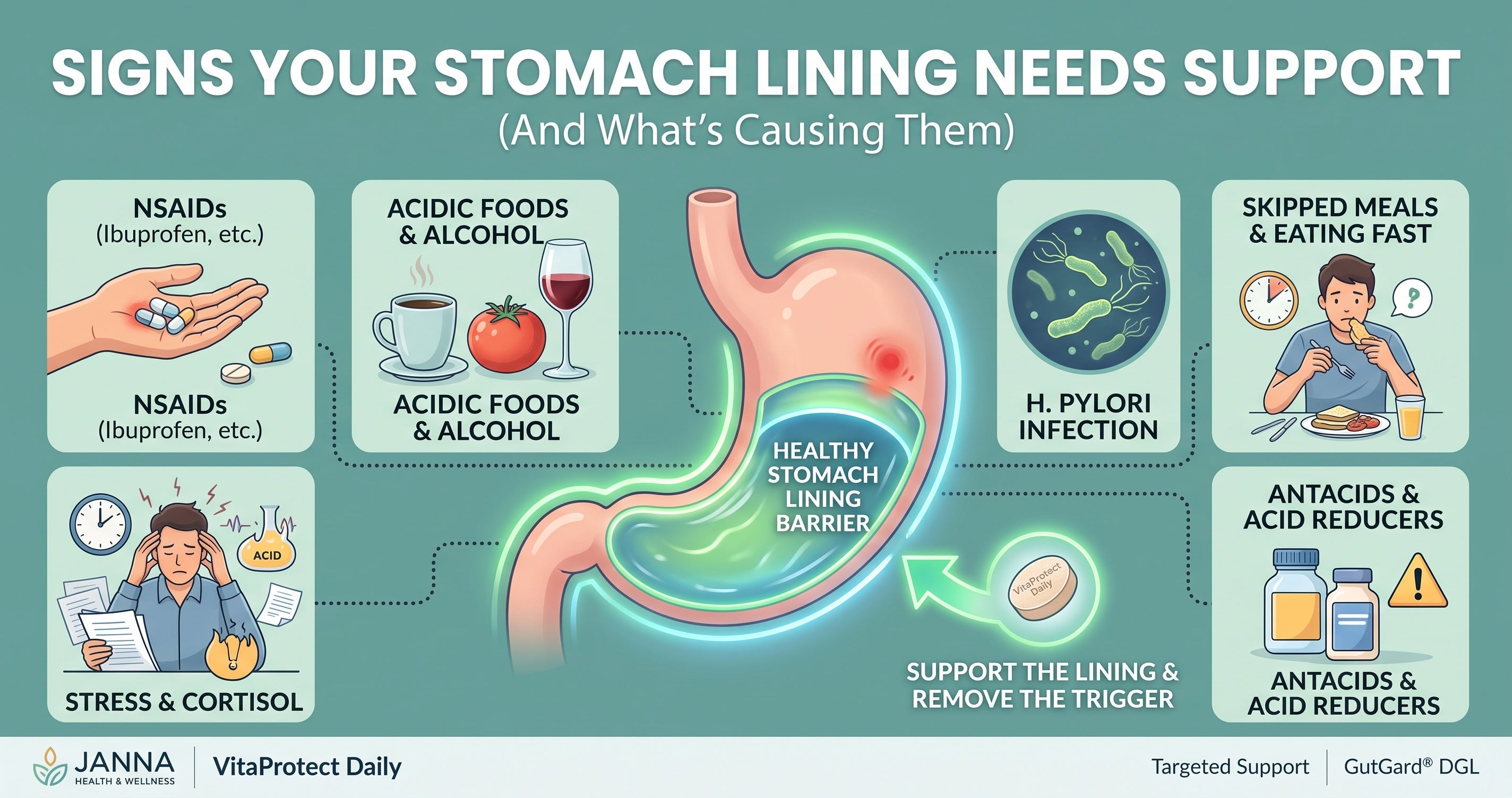 Signs Your Stomach Lining Needs Support (And What's Causing Them)
