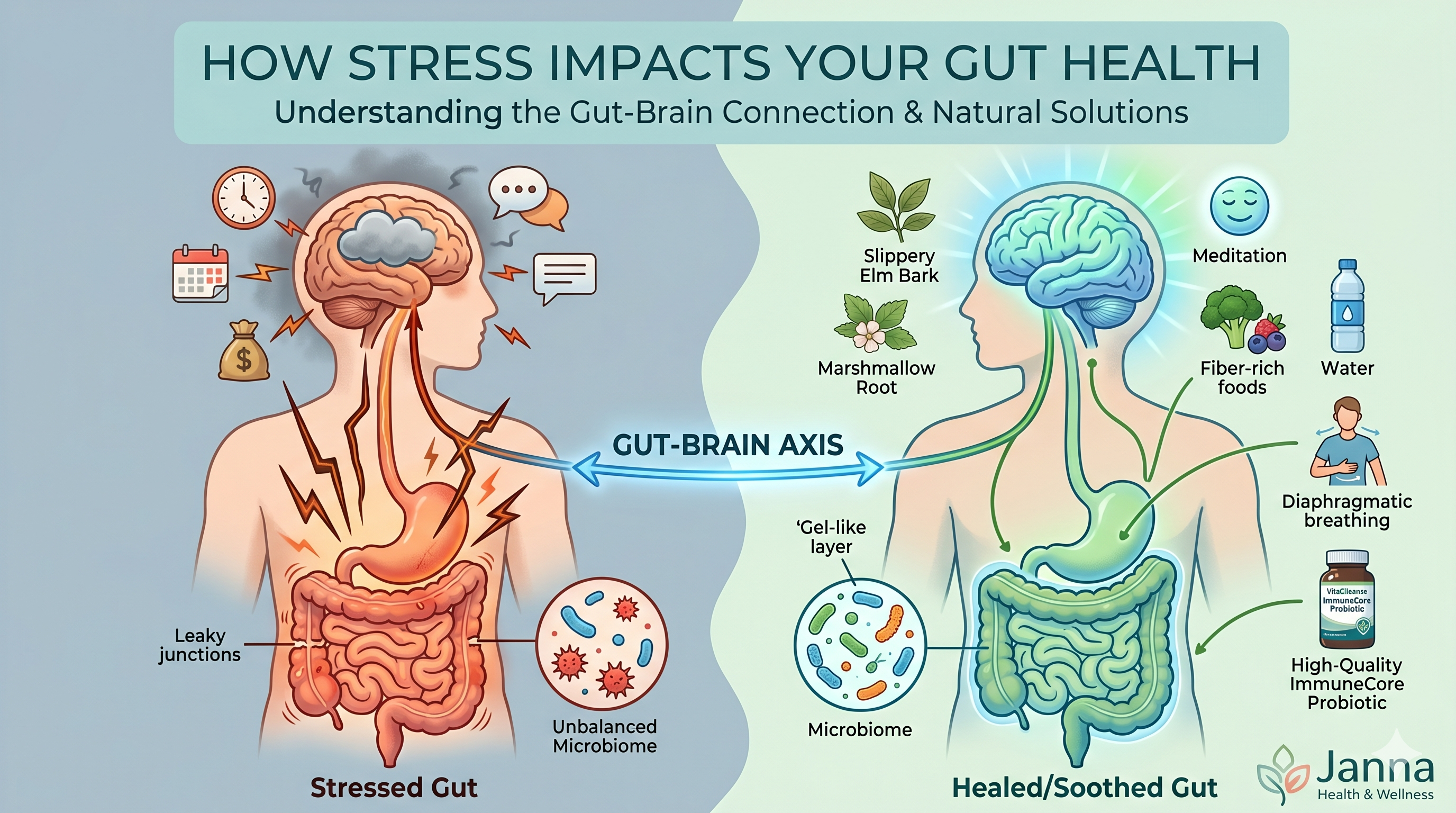 How Stress Impacts Your Gut Health