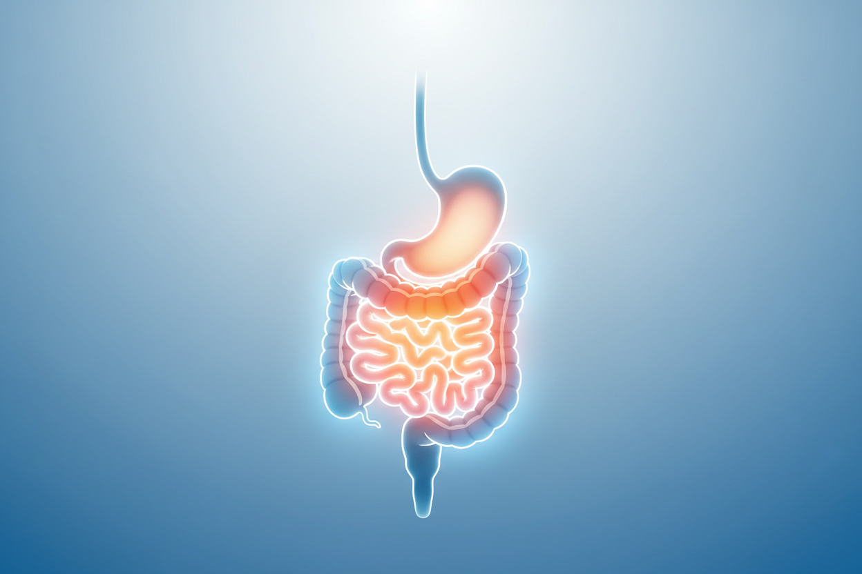How Inflammation Starts in the Gut