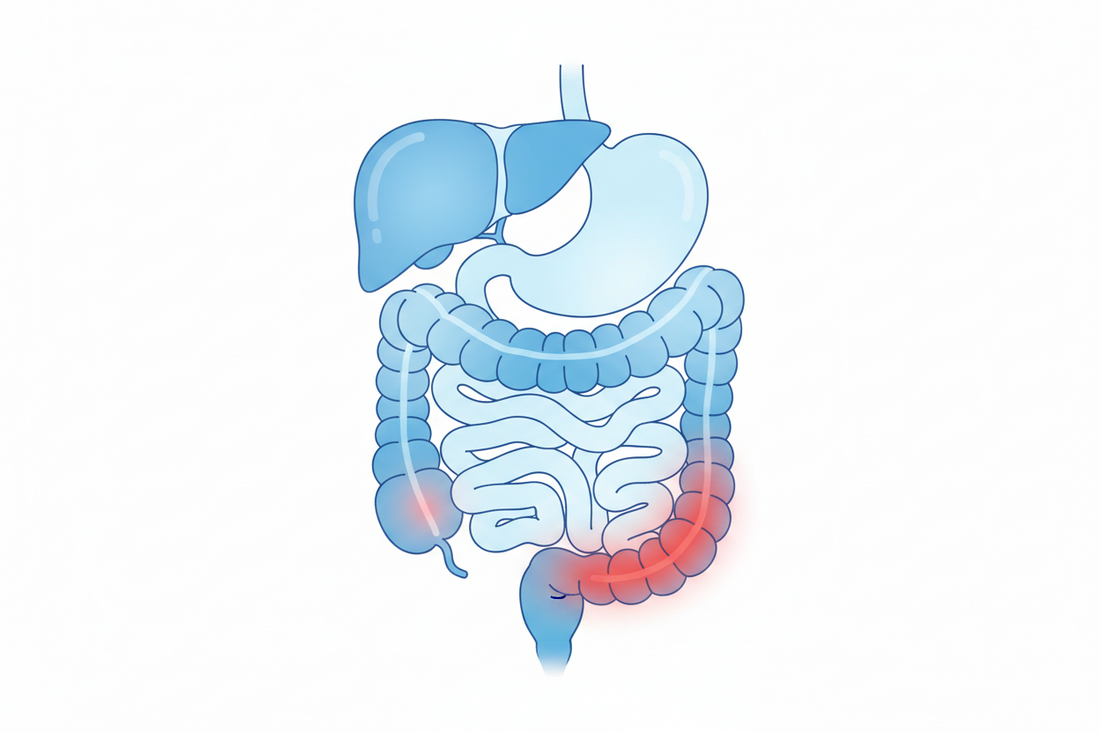 The Gut-Inflammation Connection: How to Eat Your Way to Feeling Better