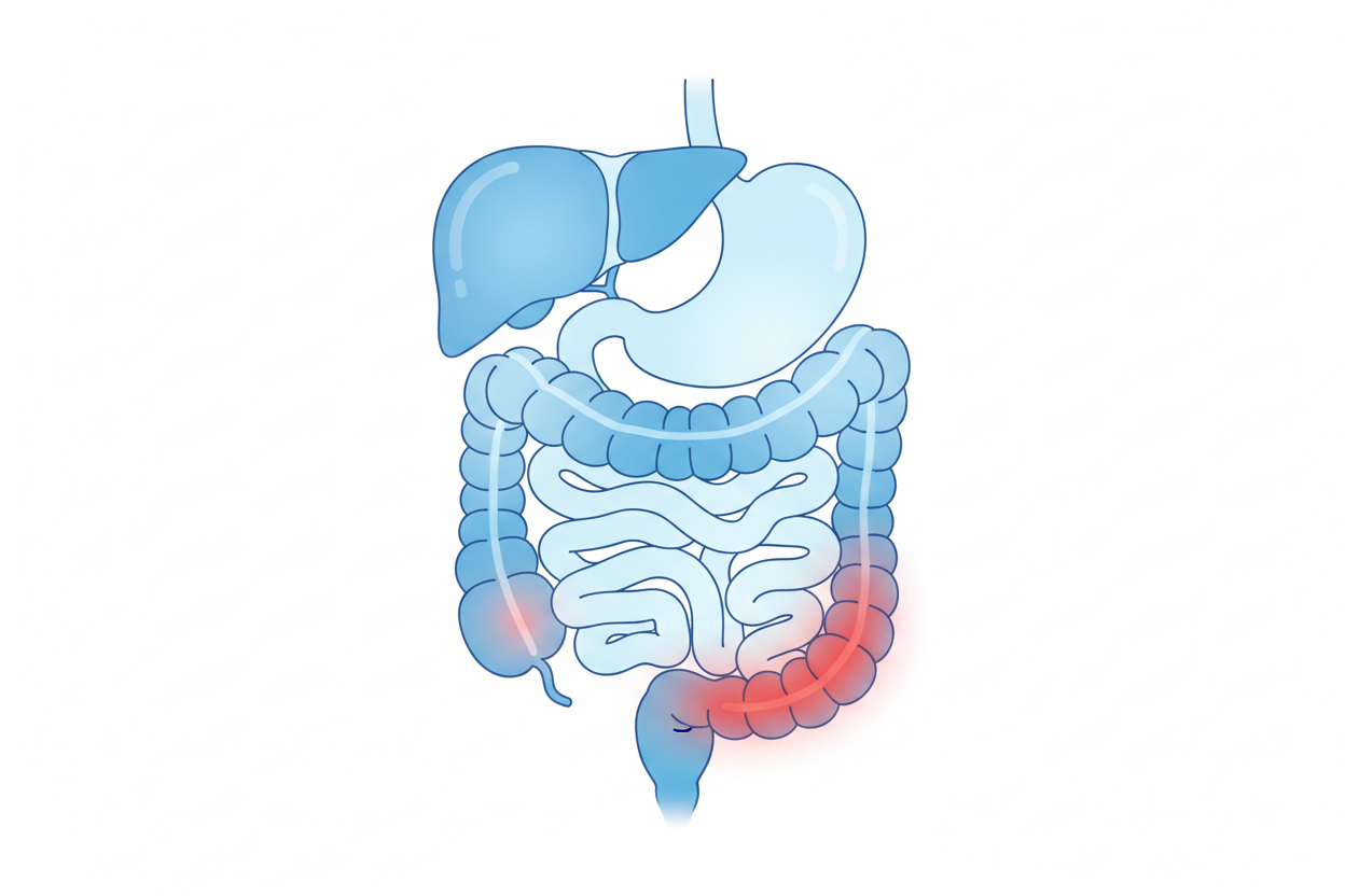 The Gut-Inflammation Connection: How to Eat Your Way to Feeling Better